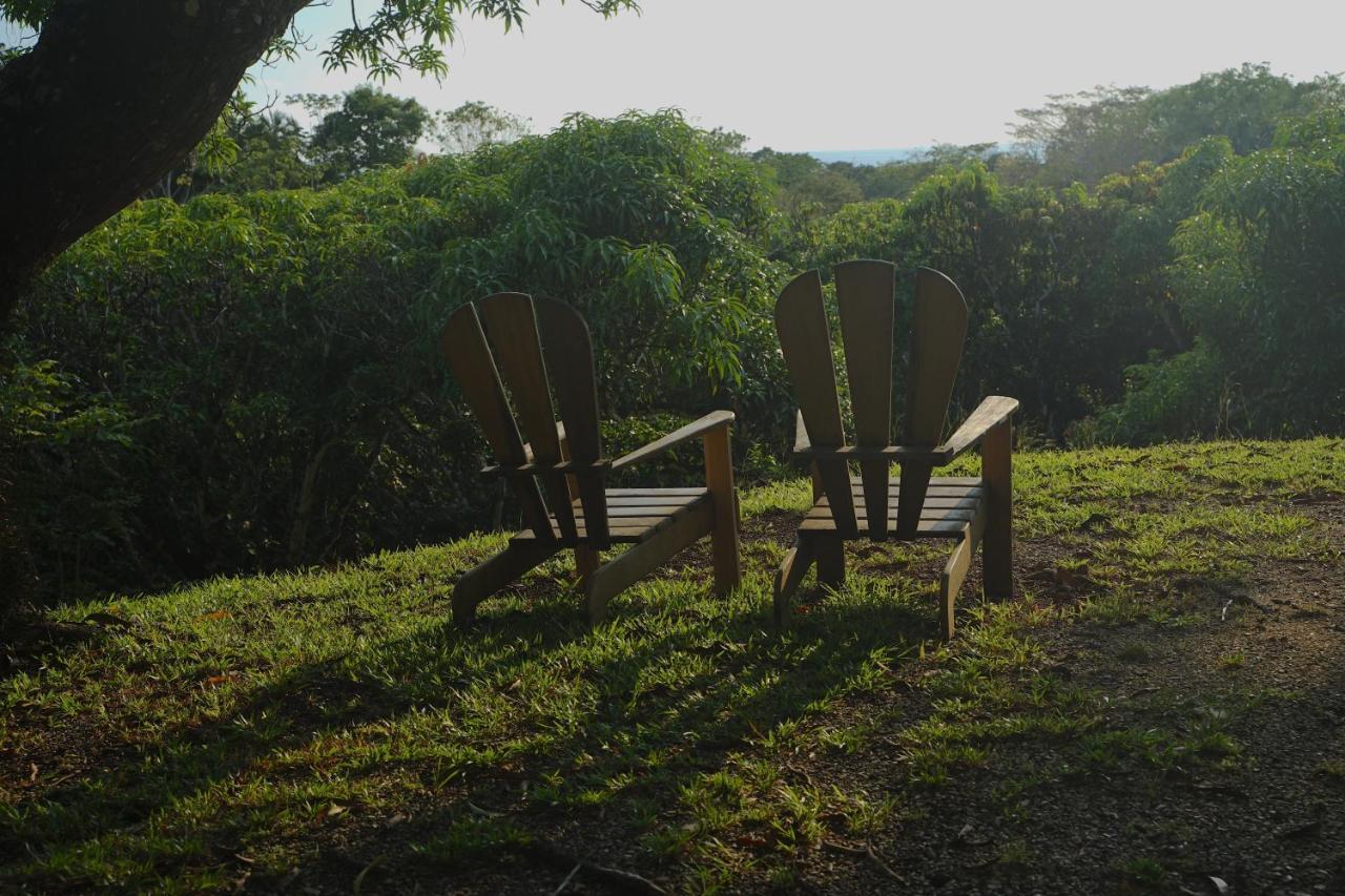 Playa Santa Teresa  Calamocha Lodge מראה חיצוני תמונה