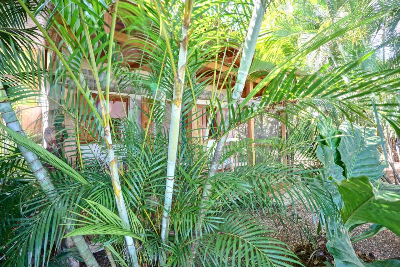 Playa Santa Teresa  Calamocha Lodge מראה חיצוני תמונה
